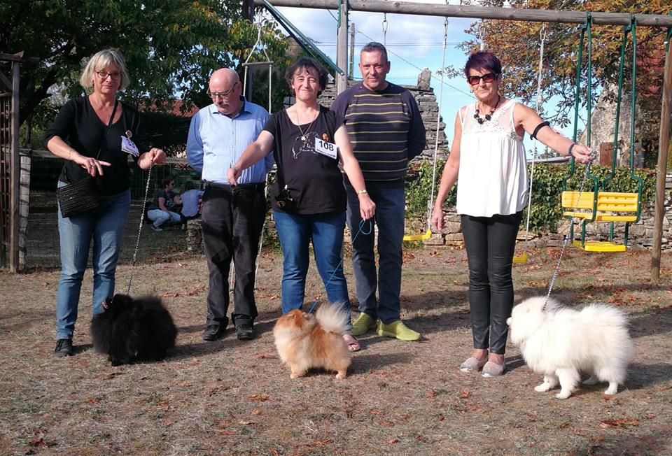 Des Hauts De Montlas - Régionale du CFSAI à St Cybranet 30.09.2018