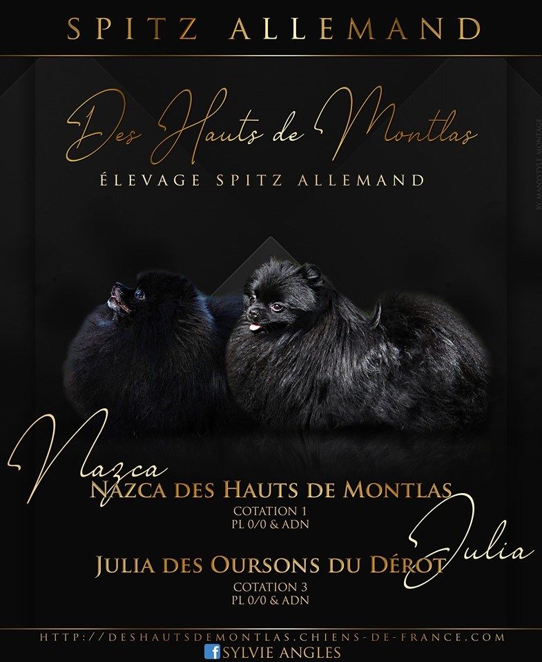 Des Hauts De Montlas - Naissances de nos petits amours ! le 29.05.2019